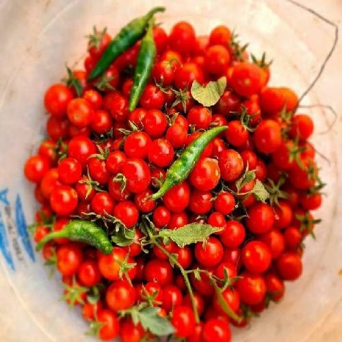 آرمین آراد و سیجل و علی اردوان نکن شک